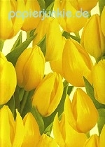 Geschenkpapier Sunny Tulips, gelbe Tulpen