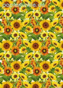 Geschenkpapier Sonnenblumen