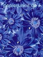 Geschenkpapier Summer Blue (F*)